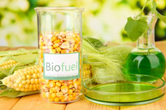 Londonderry biofuel availability